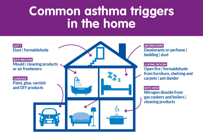 common asthma triggers