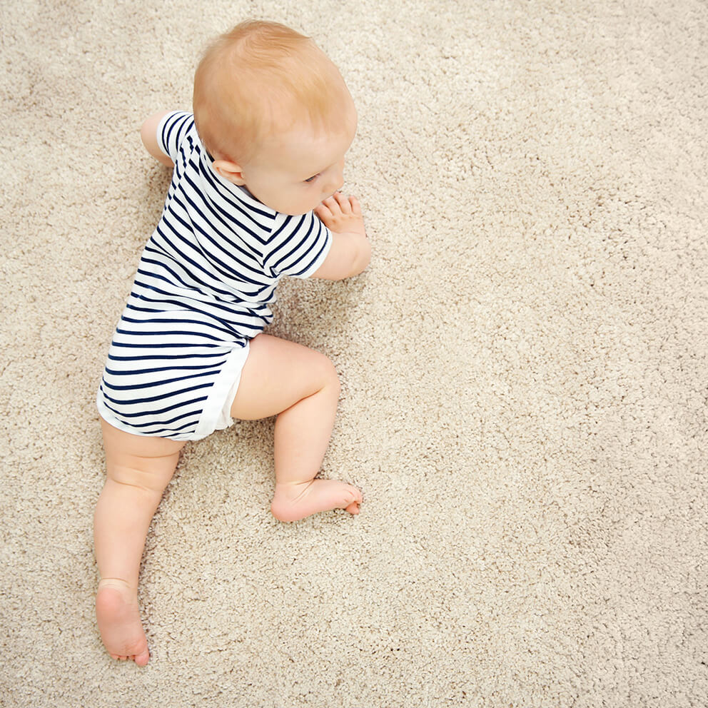 carpet cleaning high wycombe